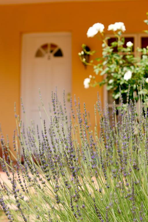 Little Tuscany Boutique Hotel Johannesburg Kültér fotó